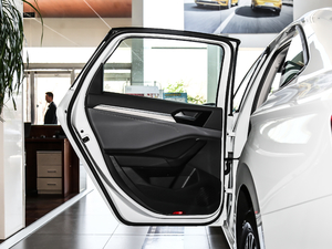 2019款280TSI DSG舒适型 国V 左后车门