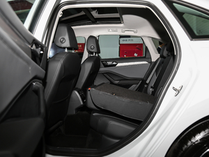 2019280TSI DSGm V ηŵ