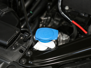 2019款280TSI DSG舒适型 国V 其它