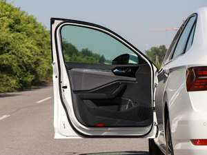 2019款200TSI DSG舒适型 国V 驾驶位车门