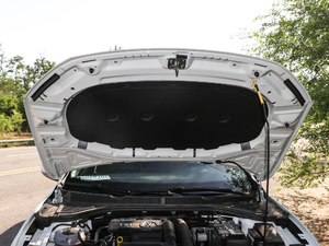 2019款200TSI DSG舒适型 国V 其它