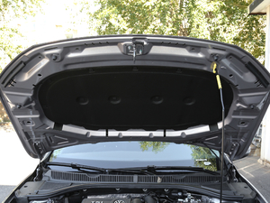 2019200TSI DSGm (gu)VI 