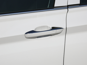 2019款280TSI DSG舒适型 国VI 主驾门拉手