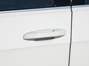 2019款1.6L 自动舒适型 国V 主驾门拉手