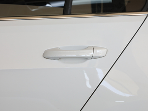 2019280TSI DSGm VI (x)(ji)^