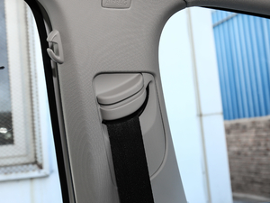 2019200TSI DSGmM(jn)ȡ (gu)VI g