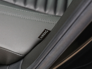 2019330TSI DSG A V g