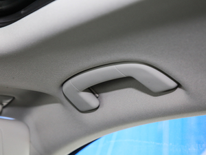 2019330TSI DSG A V g