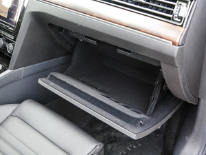 2019330TSI DSG A (gu)V 