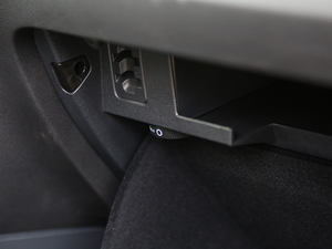 2019330TSI DSG A (gu)V g