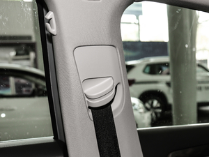 2019330TSI DSG A (gu)V g