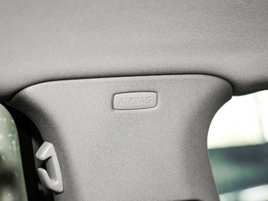 2019330TSI DSG A (gu)V g