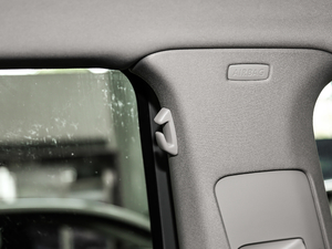 2019330TSI DSG A (gu)V g