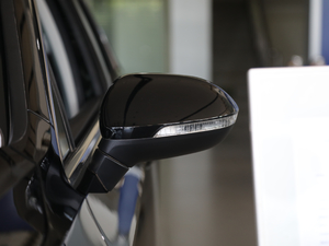2019款280TSI DSG 领先型 国V 后视镜