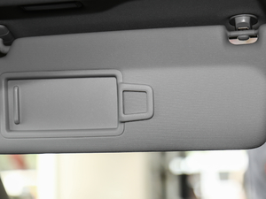 2019330TSI DSG F (gu)VI g