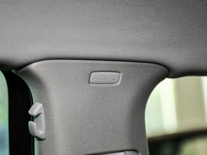 2019330TSI DSG F (gu)VI g