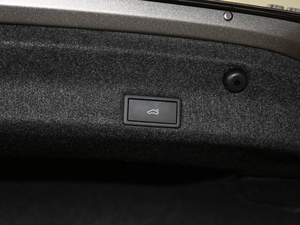 2019330TSI DSG F VI g