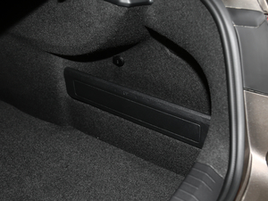 2019330TSI DSG F VI g