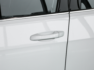 2020���Y ���{�T����