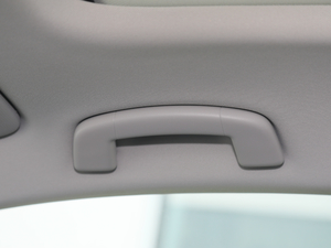 2020���Y Pro ���g����