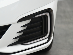 2020������� �������^