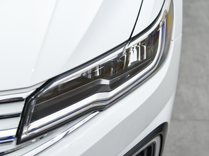 2020������� �������^