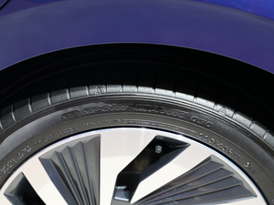 2020���� Pro �������^