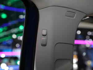 2020���� Pro ���g����