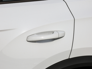 2019230TSI DSG(q)r VI (x)(ji)^