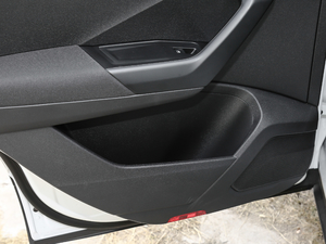 2019230TSI DSGr VI g