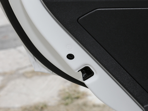 2019230TSI DSGr VI g