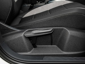 2019230TSI DSGMȡ VI g