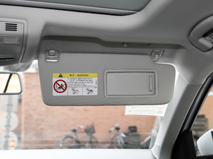 2019230TSI DSGMȡ VI g