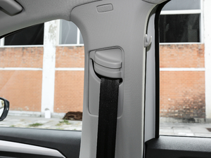 2019230TSI DSGMȡ VI g