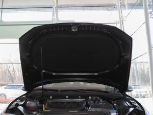 2020款330TSI DSG尊贵型 其它