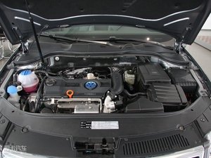 20091.4T DSG(bio)(zhn) 