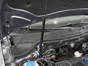 20091.4T DSG(bio)(zhn) 