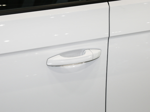 2020230TSI DSGMȡ {T