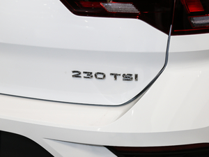 2020230TSI DSGMȡ ^