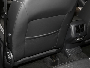 2020230TSI DSG(q)Mȡ g