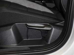 2020230TSI DSGMȡ {{