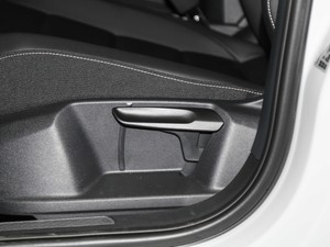 2020280TSI DSG(q)A {{(dio)(ji)