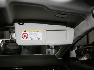 2020280TSI DSG(q)A g