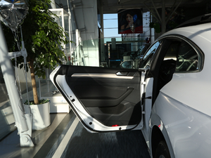 2020款330TSI 华颜版 国V 左后车门