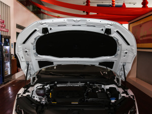 2021款330TSI 猎目版 其它