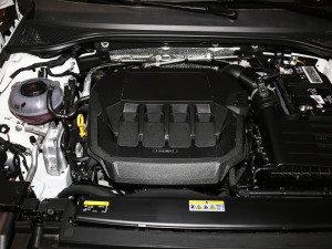 2021款330TSI 猎目版 其它