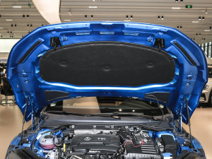 2021款380TSI 猎心版 其它