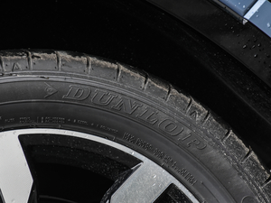 2020380TSI (q)(lin) ݆̥Ʒ