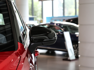 2020380TSI (q)(lin) ҕR