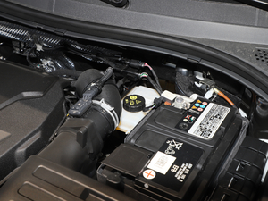 2020330TSI (q)F(lin) 